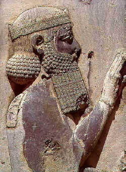 The King Darius I
