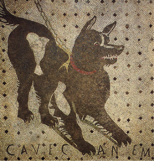 Beware the Dog mosaic